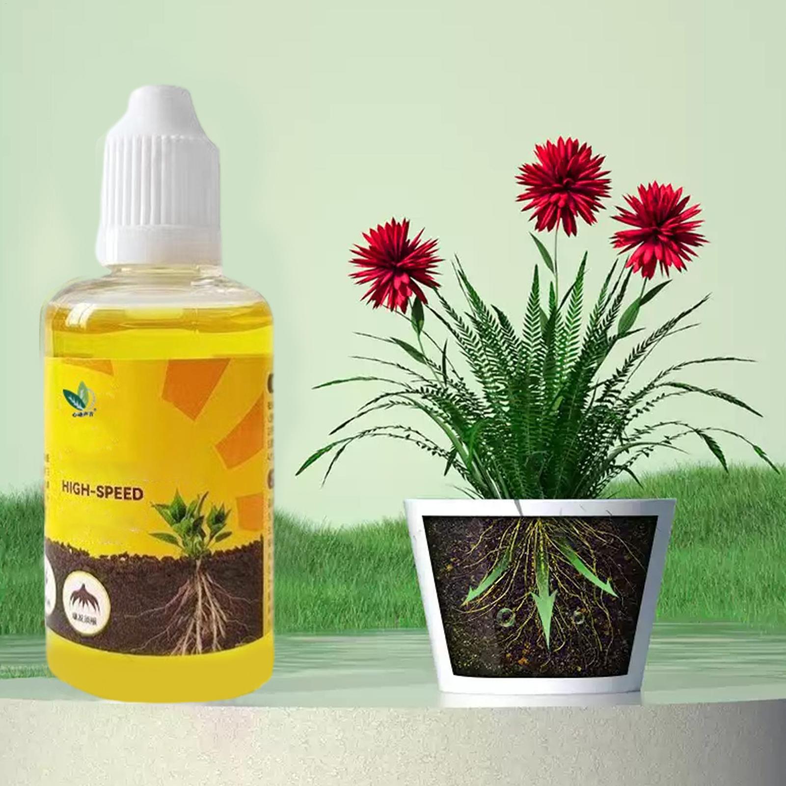 Root Stimulator Liquid - محلول تجذير النباتات السريع 50 مل،
