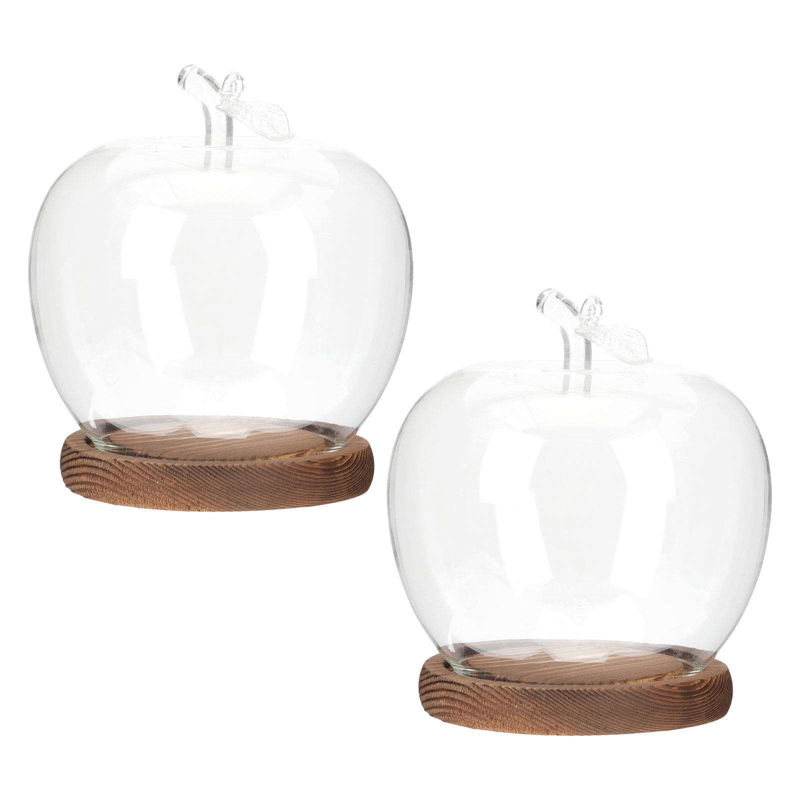 Plastic Dome Clear - قطعتان من غطاء الزجاج الشفاف مع