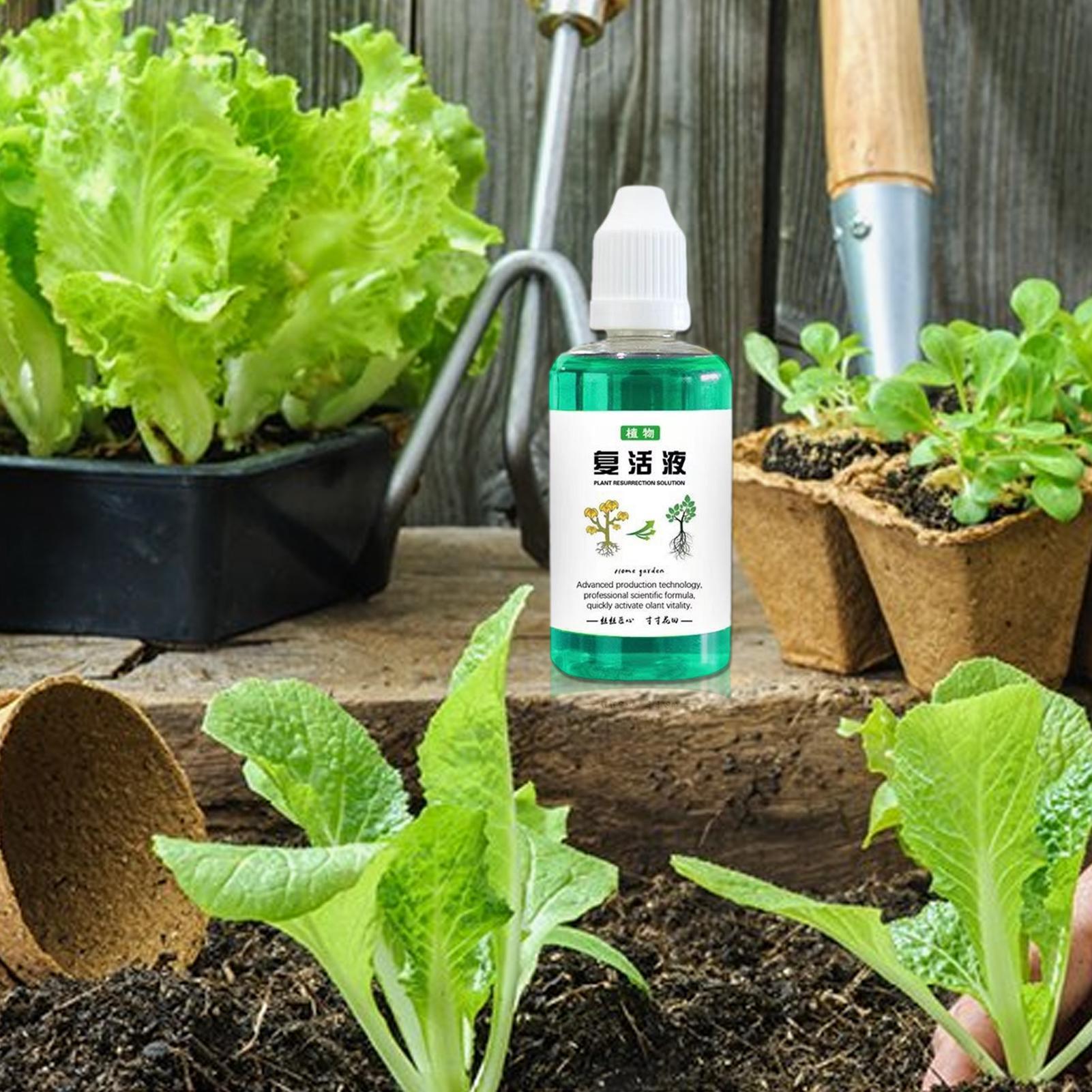 محفز جذور النباتات 50 مل، معزز - مراجعة Root Stimulator Liquid وسعره