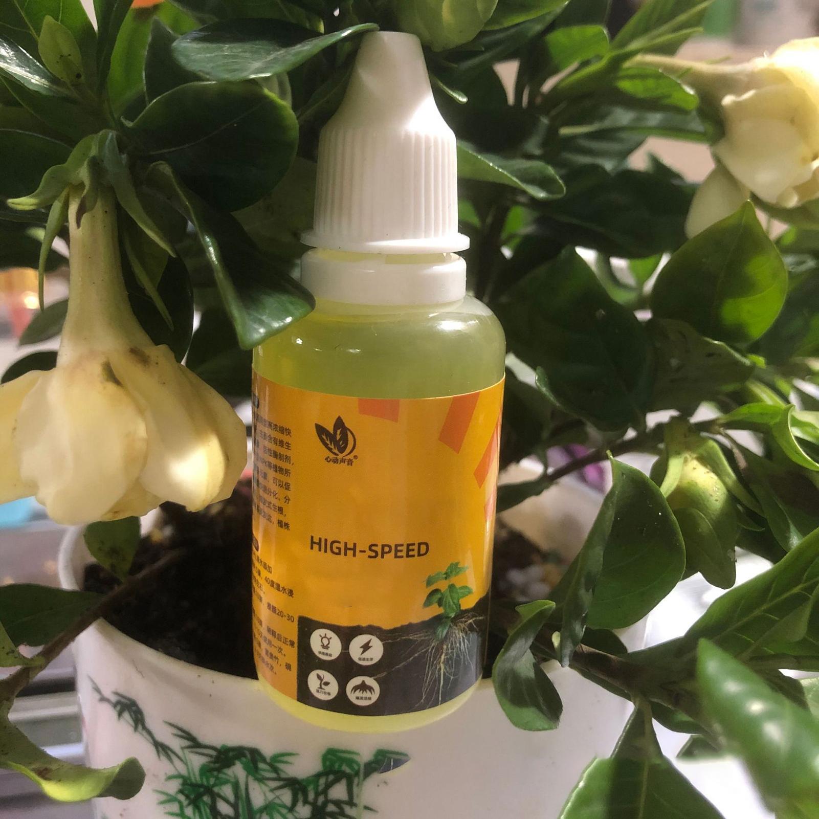 سائل محفز لتجذير النباتات 50 م - مراجعة Root Stimulator Liquid وسعره