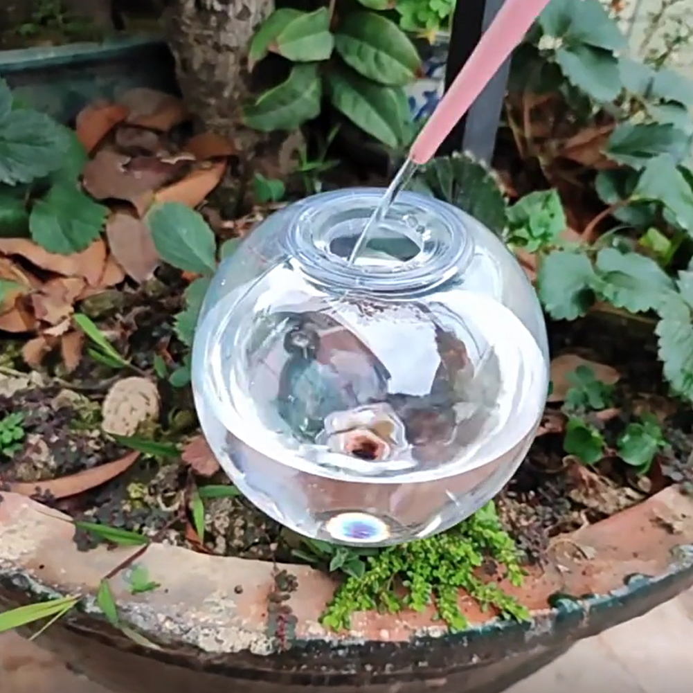 كرات ري ذاتية سعة 500 مل، نظام - مراجعة Self Watering Insert وسعره