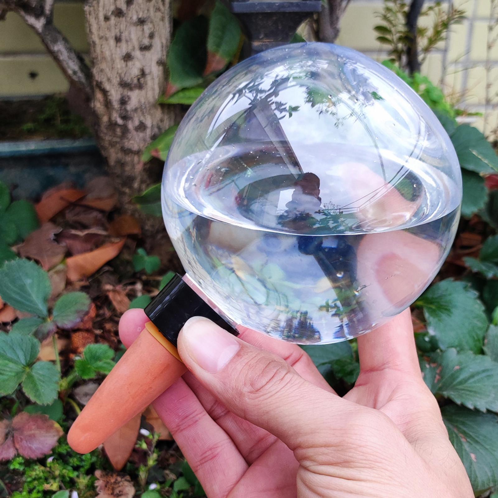 500 مللي لمبات سقي النباتات ال - مراجعة Self Watering Insert وسعره