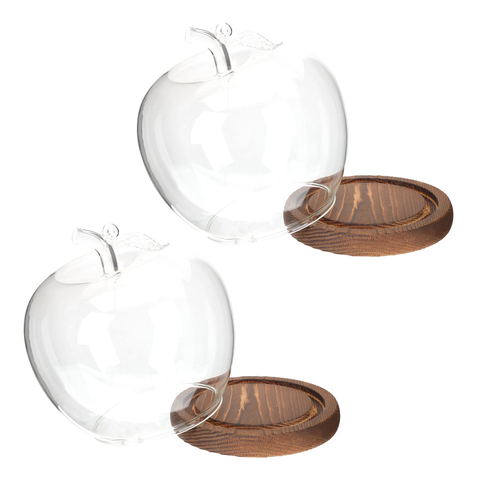 قطعتان من غطاء الزجاج الشفاف م - مراجعة Plastic Dome Clear وسعره
