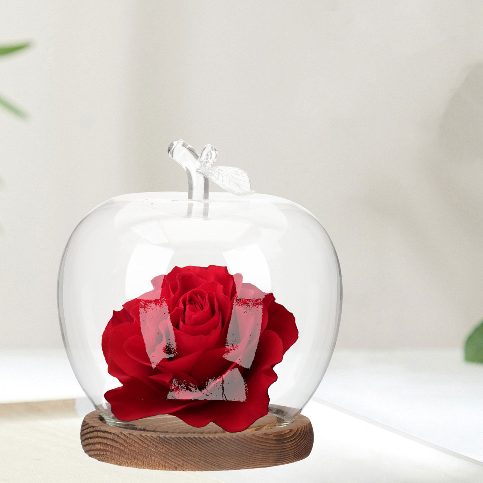 قطعتان من غطاء الزجاج الشفاف م - مراجعة Plastic Dome Clear وسعره